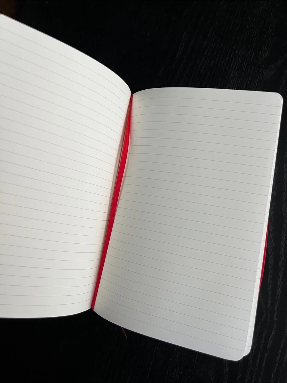 PAPERAGE Datadog Red Hardcover Lined Journal Notebook Bookmark 5.75x8 Inches